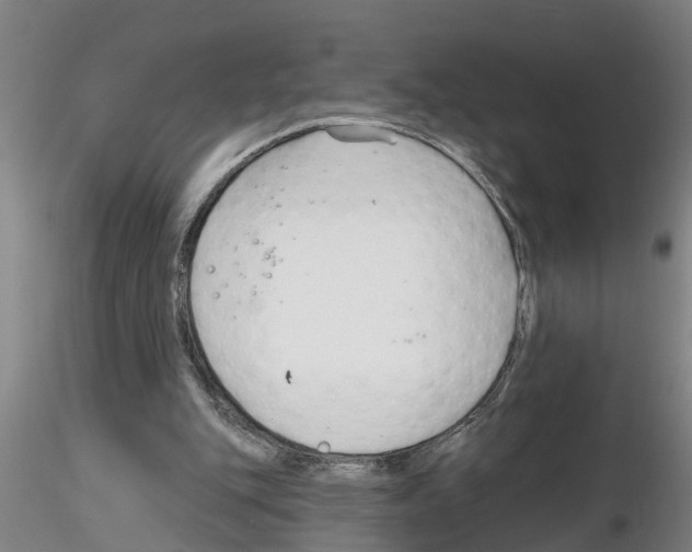 X0000116160151201001041121