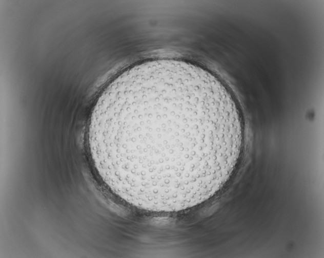 X0000116160153201001041121