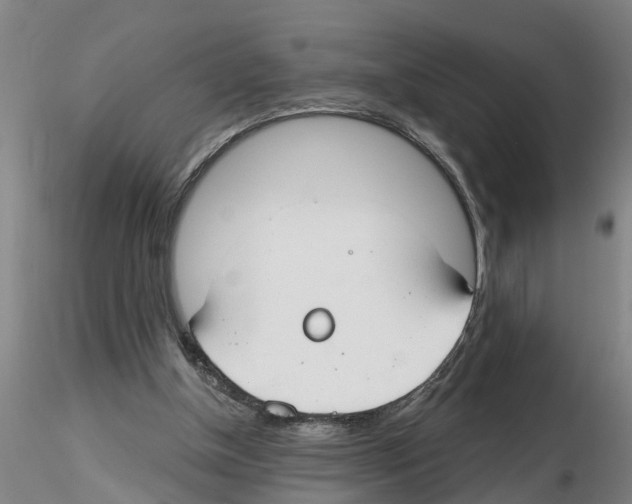 X0000116160154201001041121