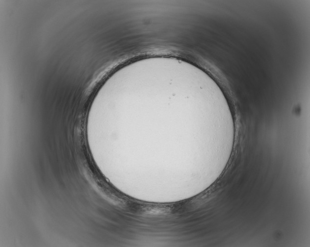 X0000116160155201001041121