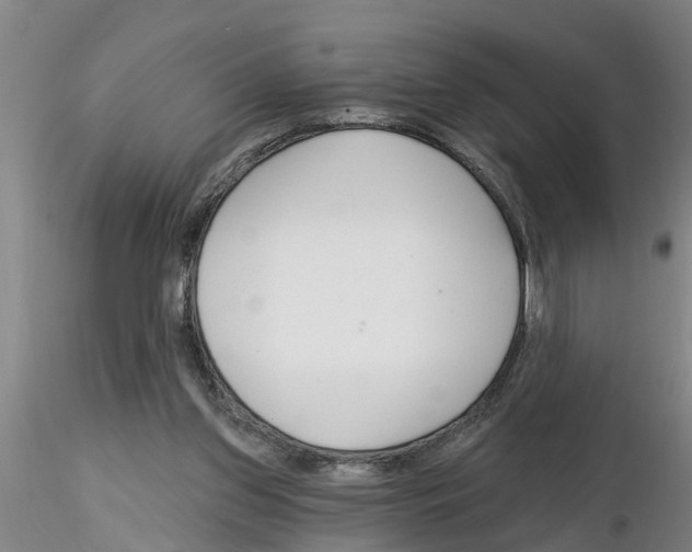 X0000116160157201001041121