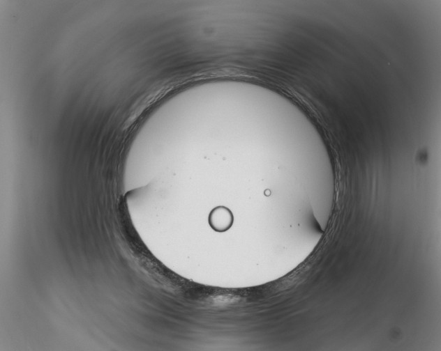 X0000116160158201001041121