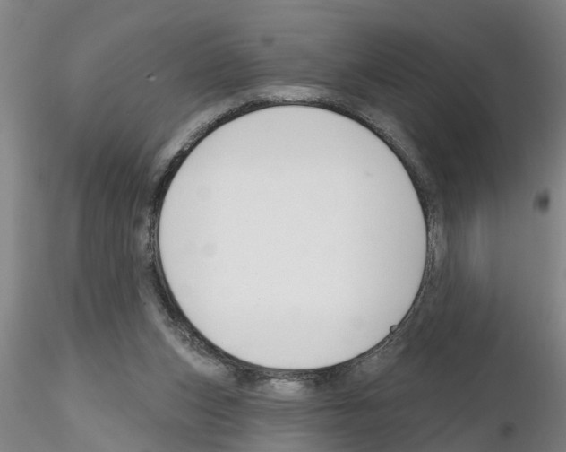 X0000116160159201001041121