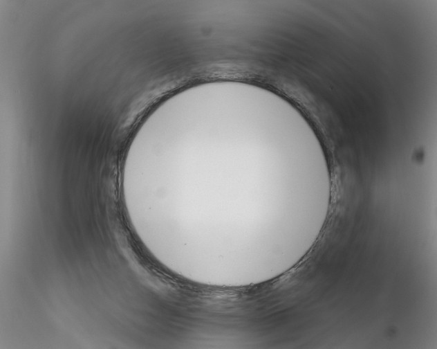 X0000116160162201001041121