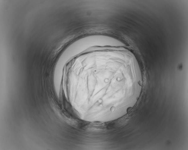 X0000116160163201001041121