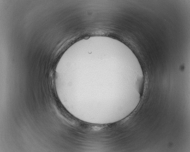 X0000116160166201001041122