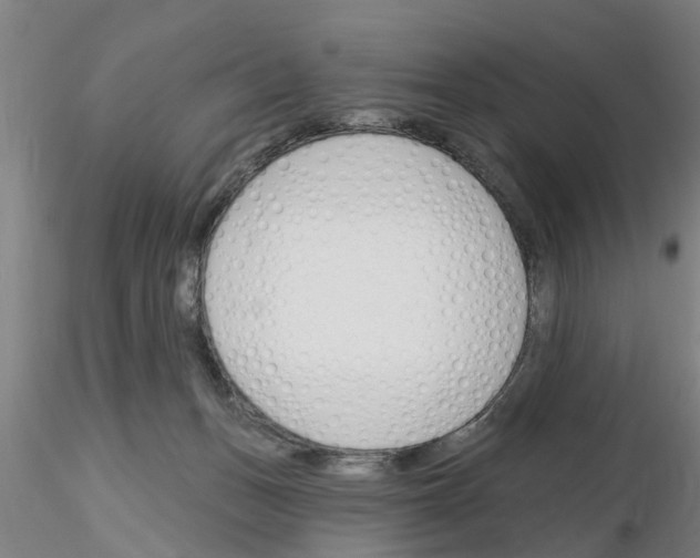 X0000116160175201001041122