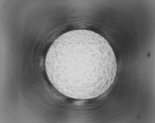 X0000116160178201001041122