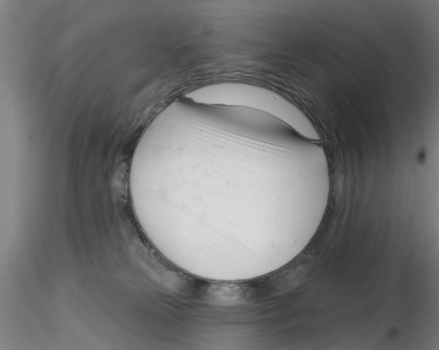 X0000116160181201001041122