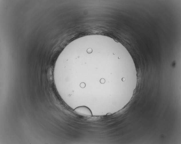 X0000116160182201001041122