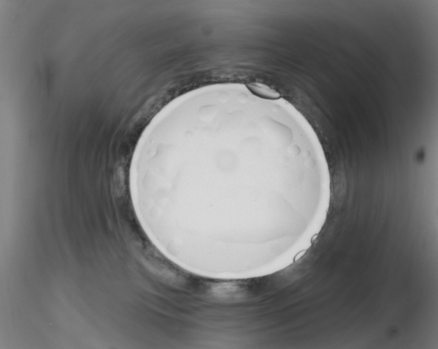 X0000116160183201001041122