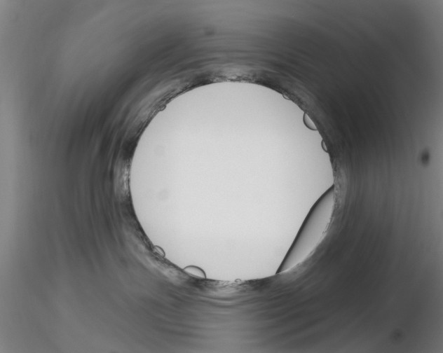 X0000116160191201001041122