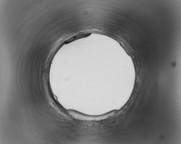 X0000116160193201001041121