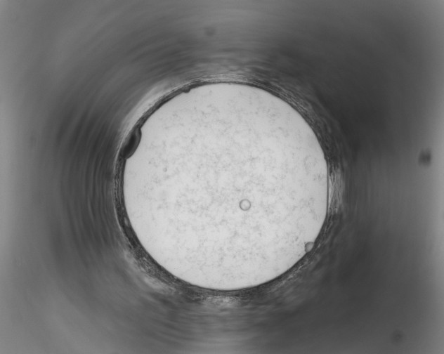 X0000116160195201001041121