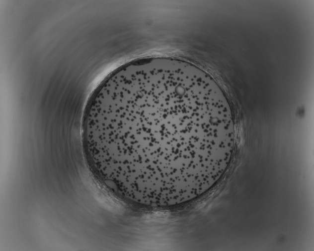 X0000116160196201001041121
