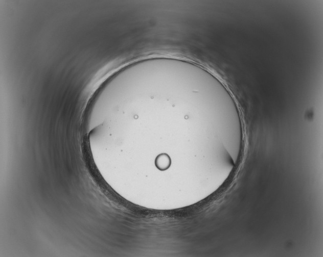 X0000116160199201001041121