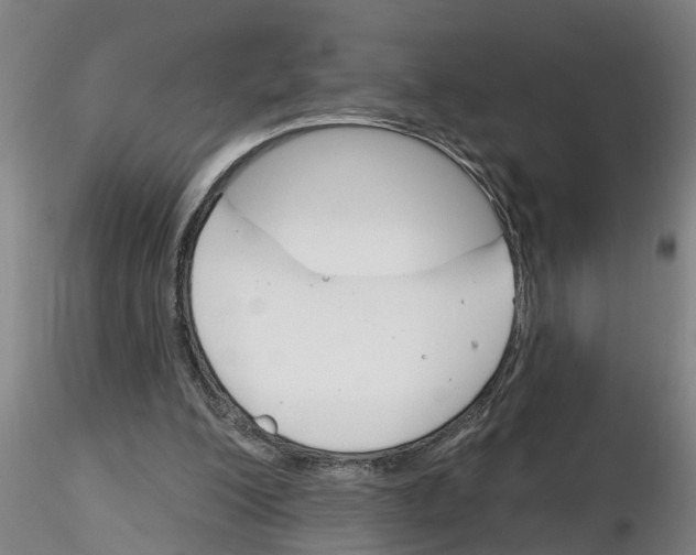 X0000116160200201001041121