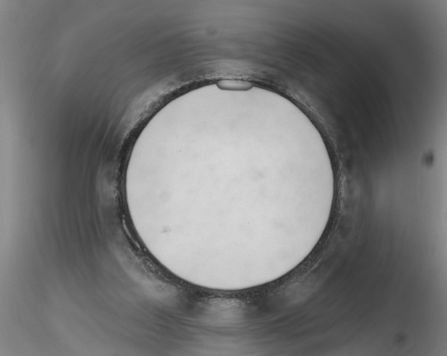 X0000116160203201001041121