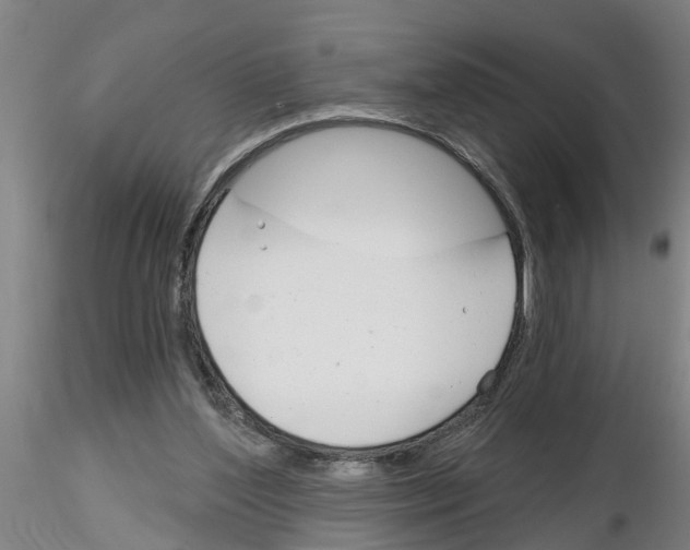 X0000116160204201001041121