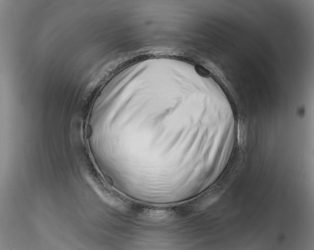 X0000116160205201001041121