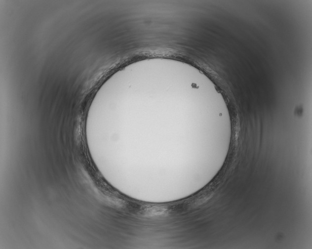 X0000116160206201001041121