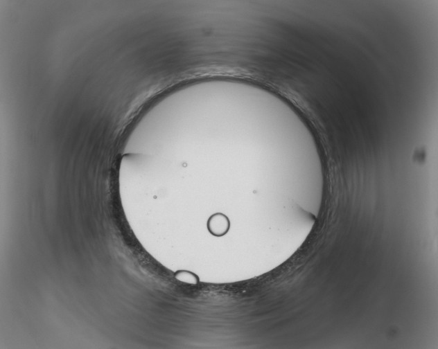 X0000116160207201001041121