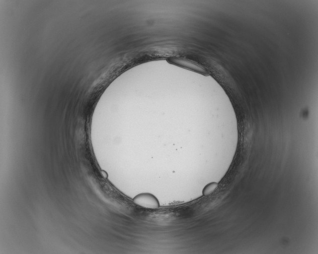 X0000116160213201001041121