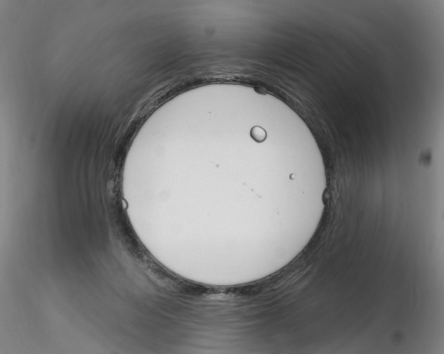 X0000116160216201001041121