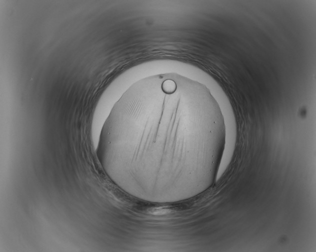 X0000116160219201001041121