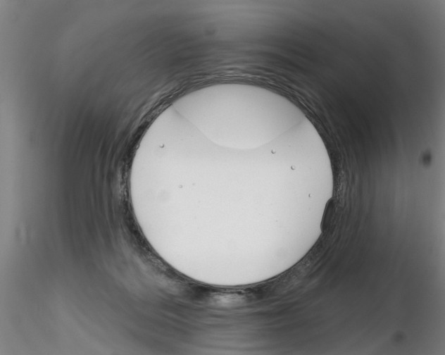 X0000116160220201001041121