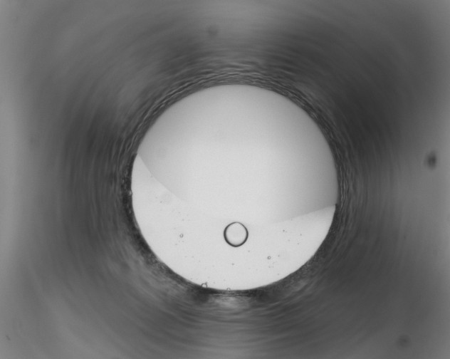 X0000116160221201001041121