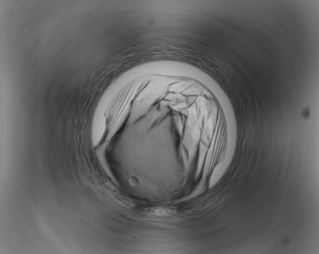 X0000116160223201001041121