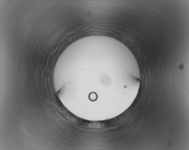 X0000116160225201001041121