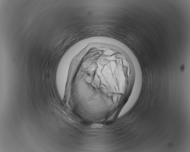 X0000116160227201001041121
