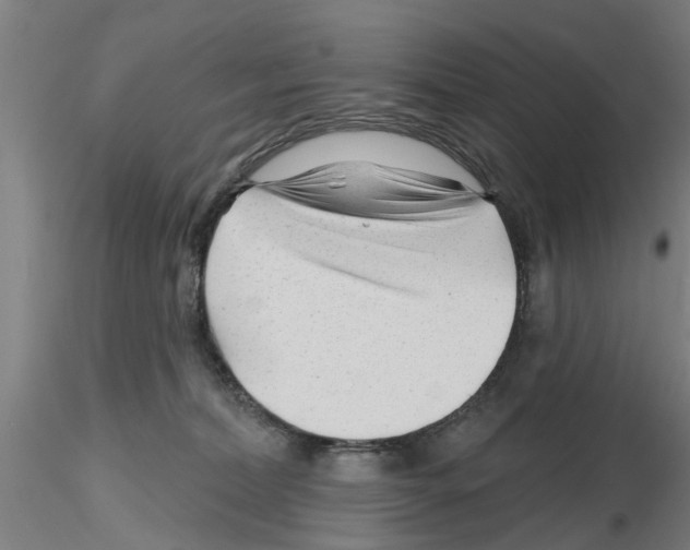 X0000116160228201001041121