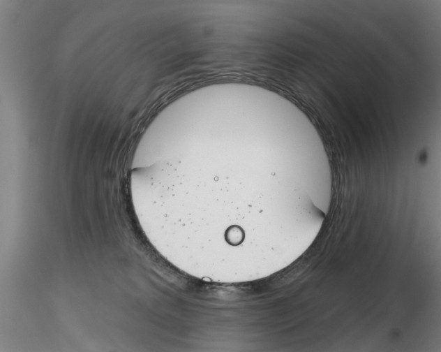 X0000116160229201001041121