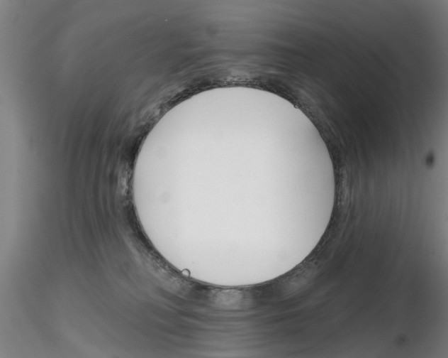 X0000116160230201001041121