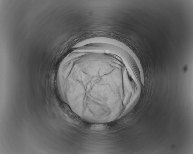 X0000116160231201001041121