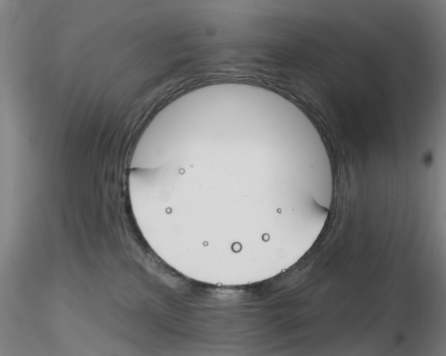 X0000116160233201001041121