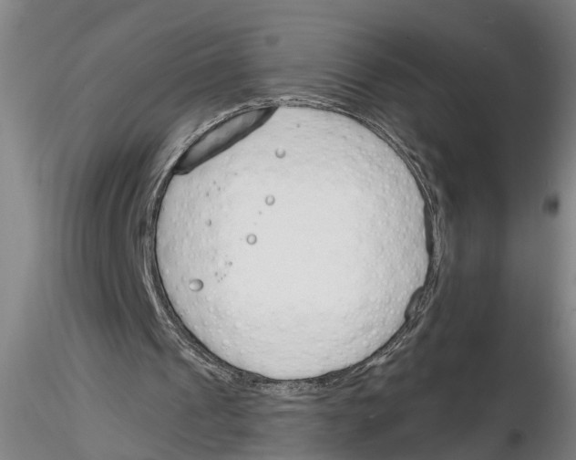 X0000116160241201001041120