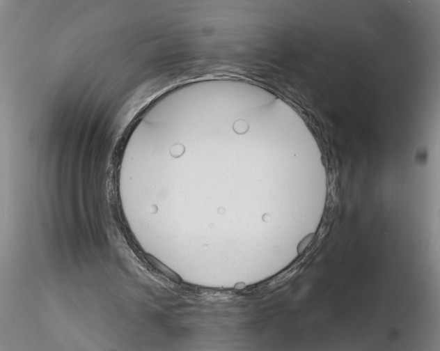 X0000116160242201001041120