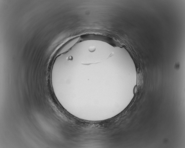 X0000116160243201001041120