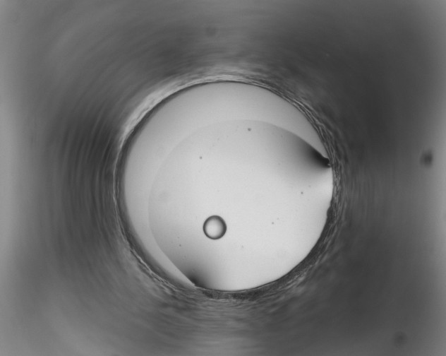 X0000116160244201001041120