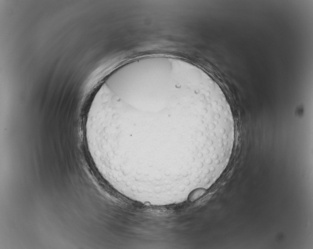 X0000116160245201001041120