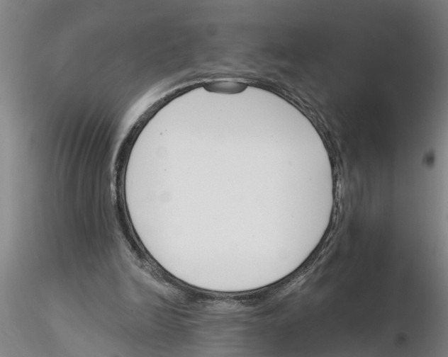 X0000116160246201001041120