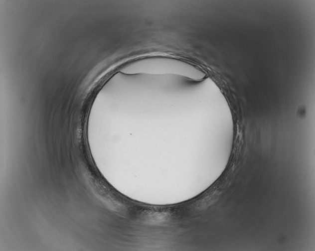 X0000116160247201001041120