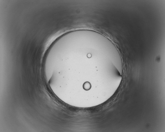 X0000116160248201001041120