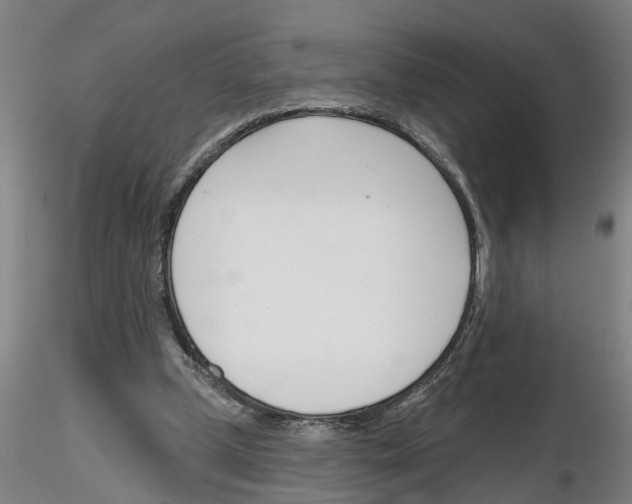 X0000116160249201001041120
