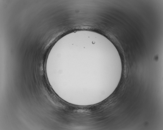 X0000116160251201001041120