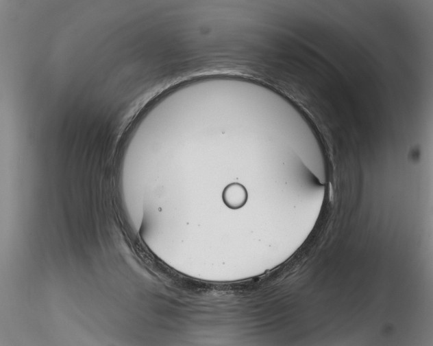 X0000116160252201001041120